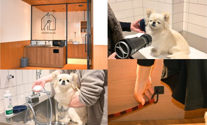 【愛犬旅】東京でこの夏の避暑旅しませんか? ホテルで、街で愛犬と過ごす 「OMO5東京五反田 by 星野リゾート」