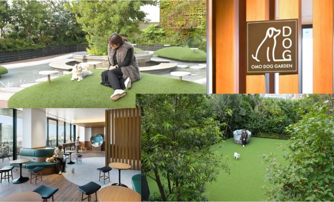【愛犬旅】東京でこの夏の避暑旅しませんか? ホテルで、街で愛犬と過ごす 「OMO5東京五反田 by 星野リゾート」