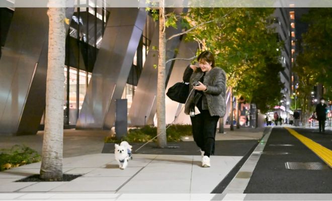 【愛犬旅】東京でこの夏の避暑旅しませんか? ホテルで、街で愛犬と過ごす 「OMO5東京五反田 by 星野リゾート」