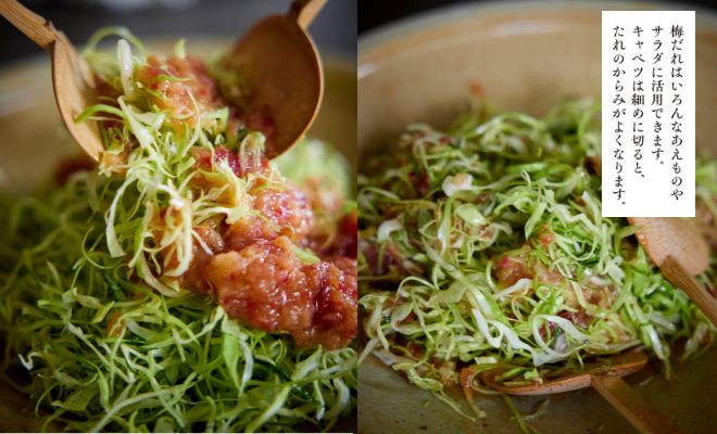 ワタナベマキさんが教えてくれた「手を抜かず、力を抜ける梅レシピ」梅干しは調味料の「さしすせそ+う」(平日の2品編)