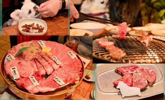 【愛犬旅】東京でこの夏の避暑旅しませんか? ホテルで、街で愛犬と過ごす 「OMO5東京五反田 by 星野リゾート」