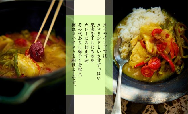 ワタナベマキさんの「手じゃなく、力を抜くレシピ」2 ◆梅フィッシュカレーと梅蒸しなす（休日の楽しみ編）◆