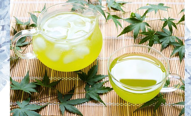 カラダに優しい“水出し茶”案内──日本茶・中国茶・紅茶【診療の合間にマインドフルネス】