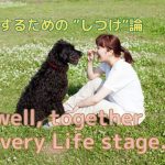 【愛犬としつけ】犬のライフステージと暮らしの工夫～成長に合わせた接し方～