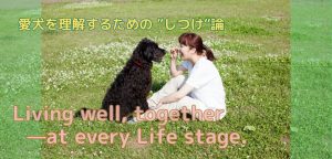 【愛犬としつけ】犬のライフステージと暮らしの工夫～成長に合わせた接し方～