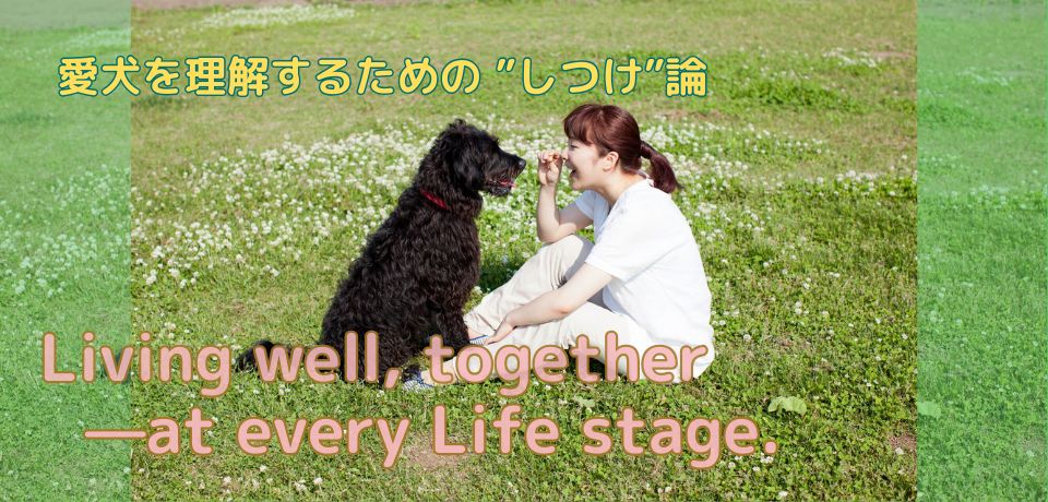 【愛犬としつけ】犬のライフステージと暮らしの工夫～成長に合わせた接し方～