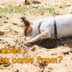 【愛犬としつけ】あなたの犬はどんなタイプ？ 犬種別のクセを理解してハッピーに！