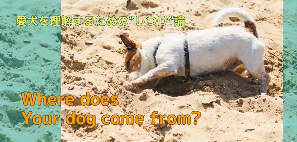【愛犬としつけ】あなたの犬はどんなタイプ？ 犬種別のクセを理解してハッピーに！