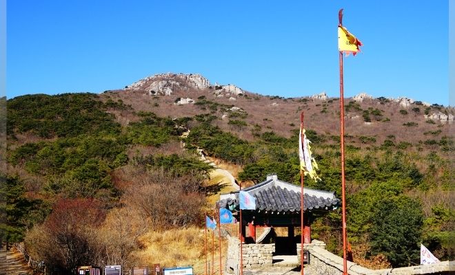 【週末旅】空港降りたら超速別世界!『ソラチカ温泉旅』鹿児島・米子・釜山(韓国)編