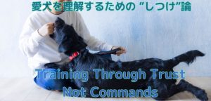 【愛犬としつけ】しつけは信頼のかたち〜叱らないしつけの基本〜