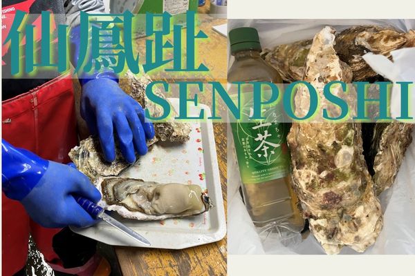 牡蠣を食しに厚岸へ……「Rの付く月」を超える、旅の目的とは